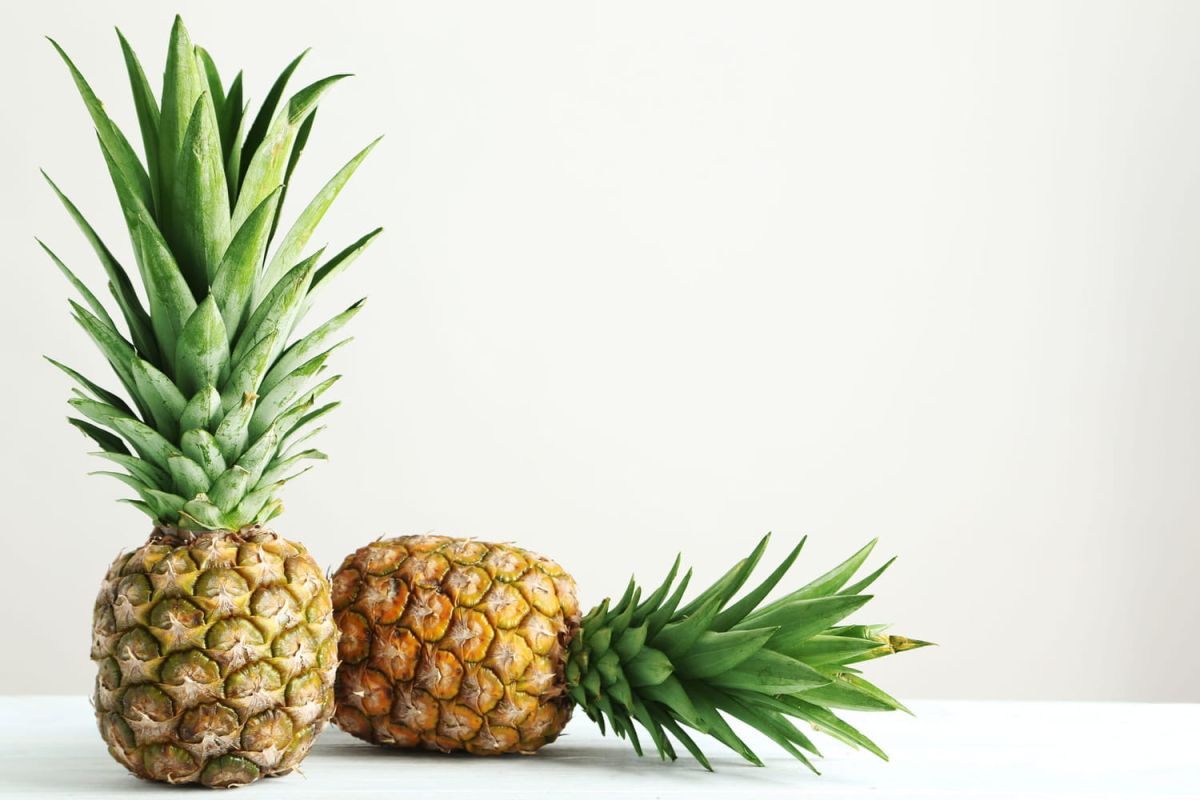 Les trésors de mars : fruits, légumes et délices de saison