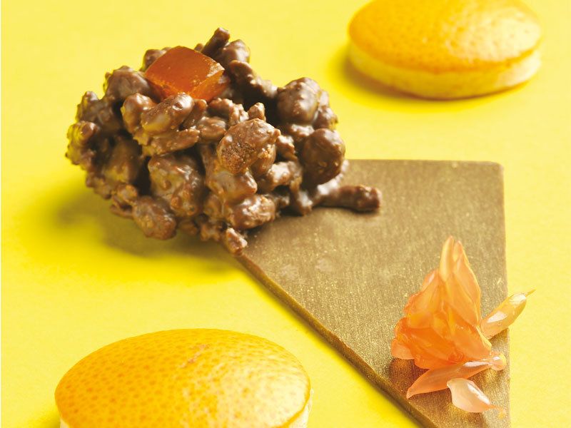 Des douceurs inattendues : la fusion du chocolat et du pamplemousse