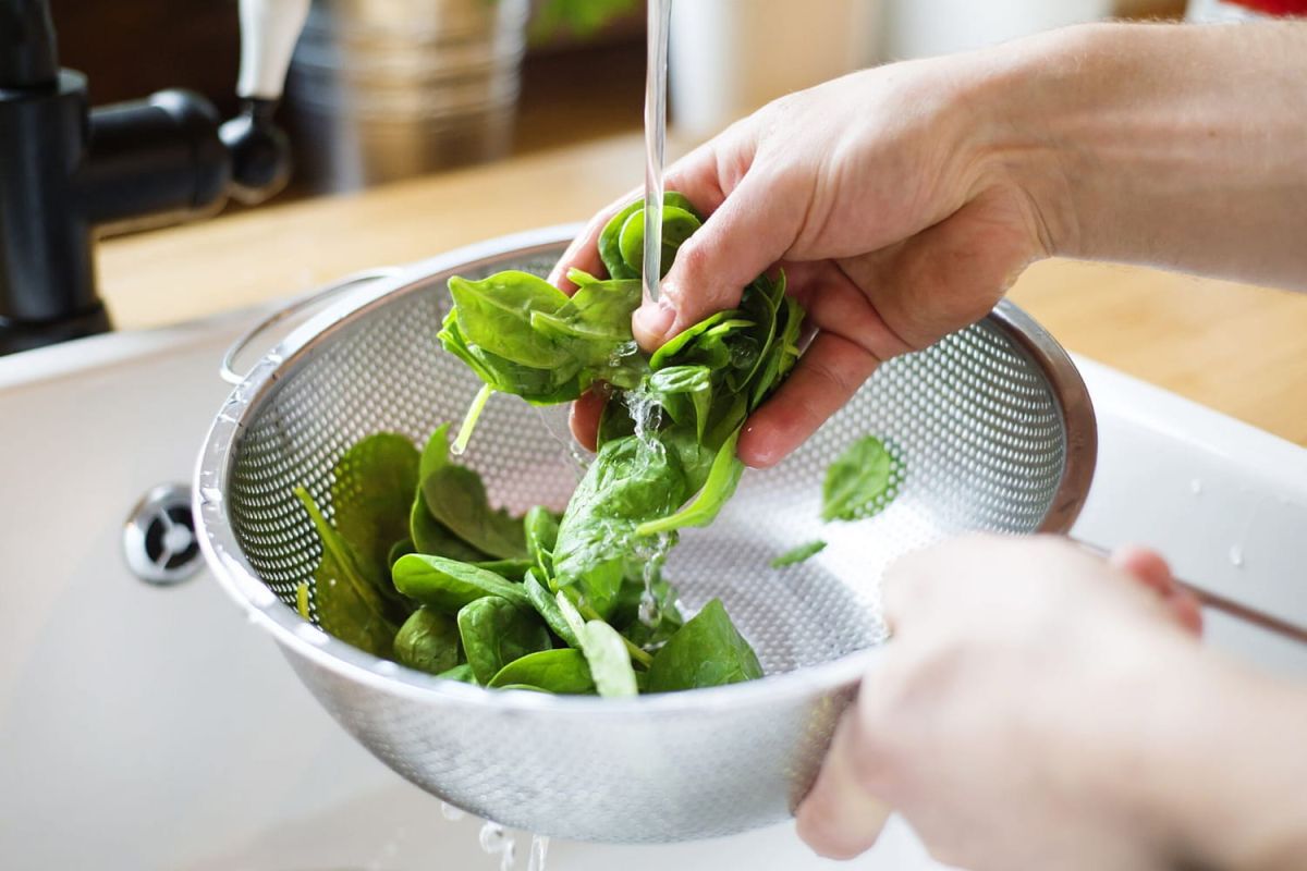 Astuces infaillibles pour une salade fraîche durable