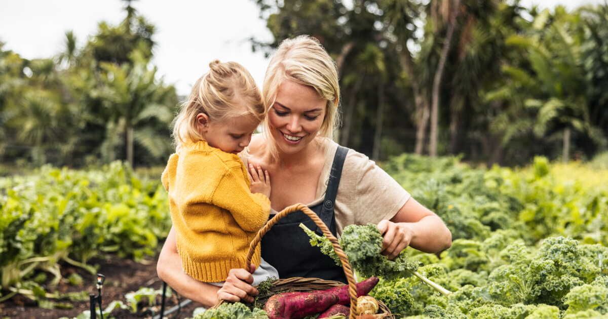 Le glanage : une solution alimentaire contre le gaspillage