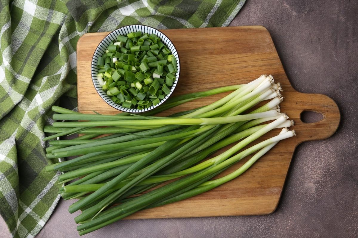 L'oignon vert : un trésor de saveurs et de bienfaits