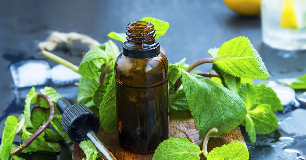 Cuisiner avec des huiles essentielles : une nouvelle tendance culinaire