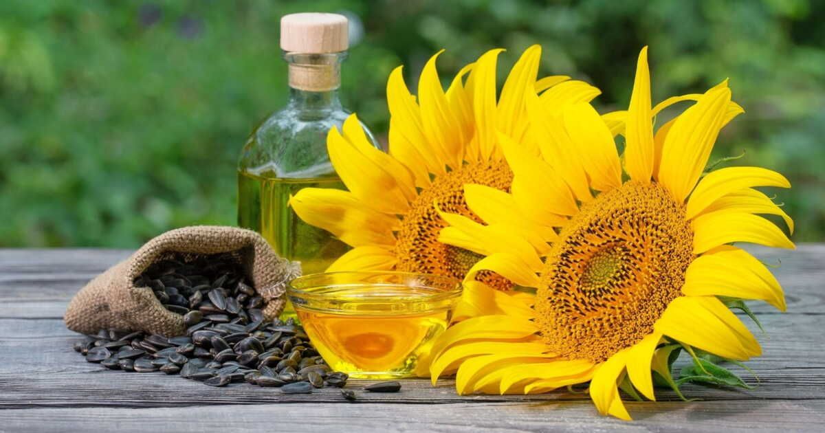 Les consommateurs en émoi face à la pénurie d'huile de tournesol
