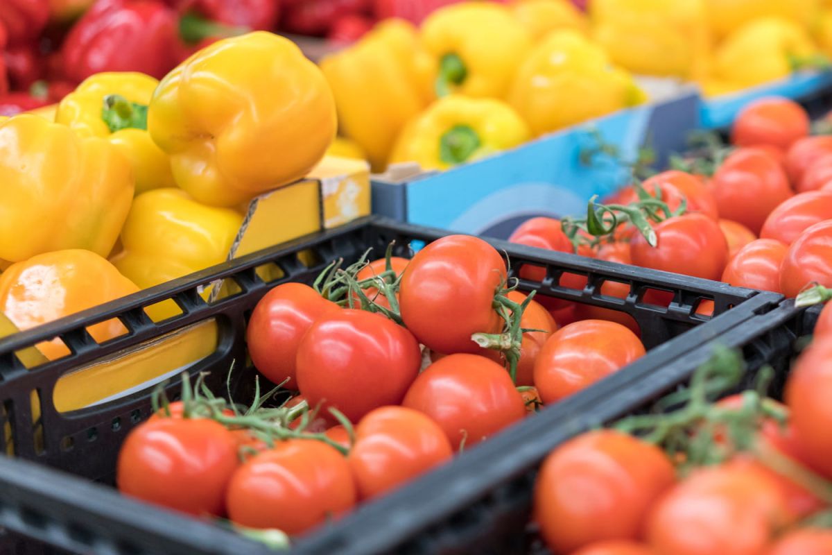 Les tomates trompeuses : beauté extérieure, manque de saveur