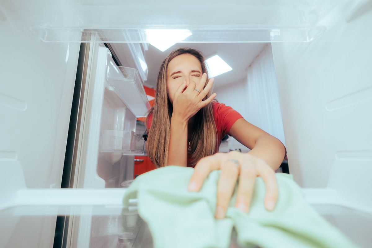 Astuces pour éliminer les mauvaises odeurs du frigo de manière naturelle