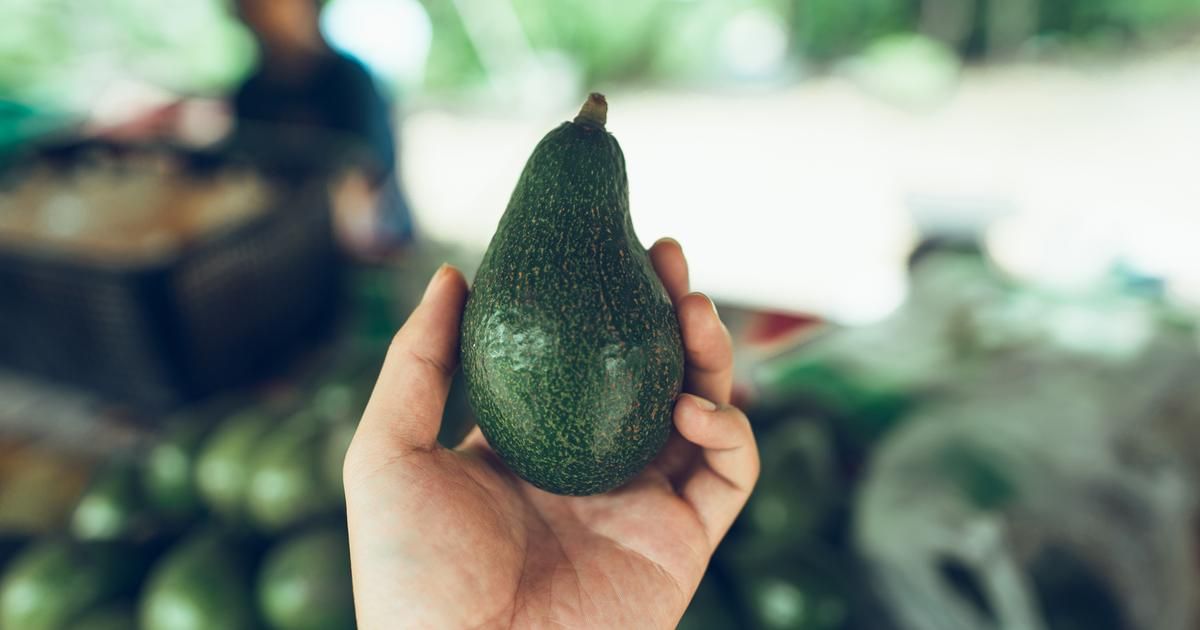 Choisir son avocat : conseils pour une consommation écoresponsable