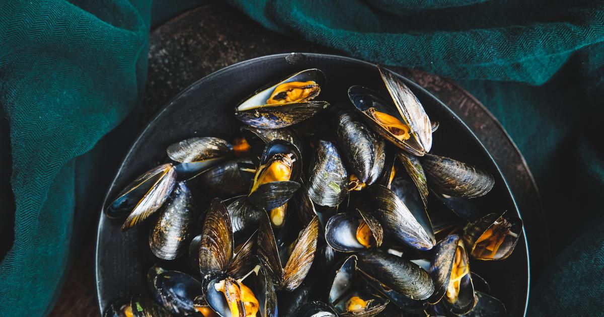 Découvrez les moules de saison, trésor de la gastronomie française