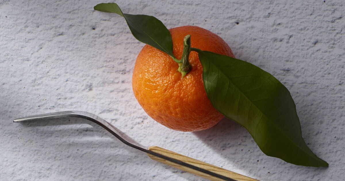 découvrez 3 recettes sucrées éclatantes à base de clémentines pour vos fêtes
