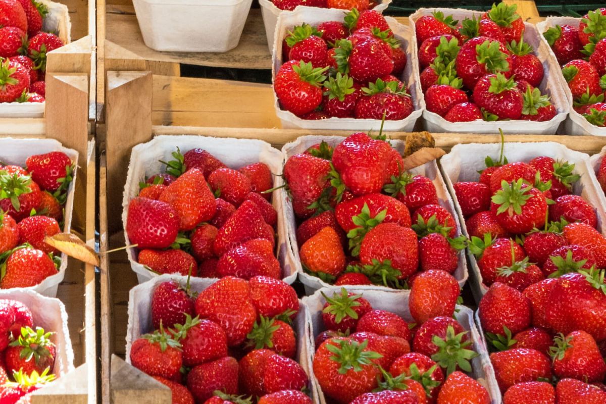 Comment choisir des fraises de qualité selon l'UFC-Que Choisir