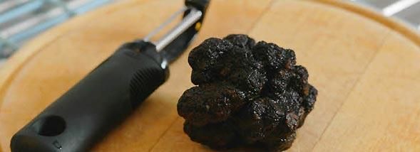 À la découverte de la truffe, un trésor gastronomique