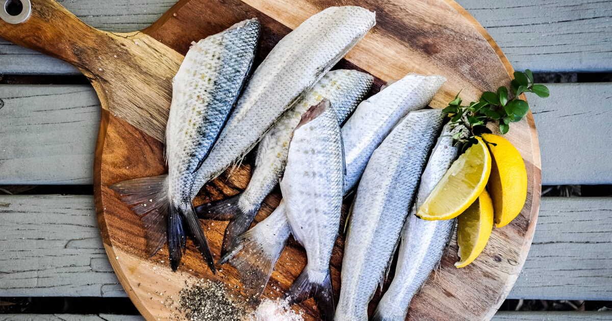 Le mulet noir : le poisson économique à essayer d'urgence