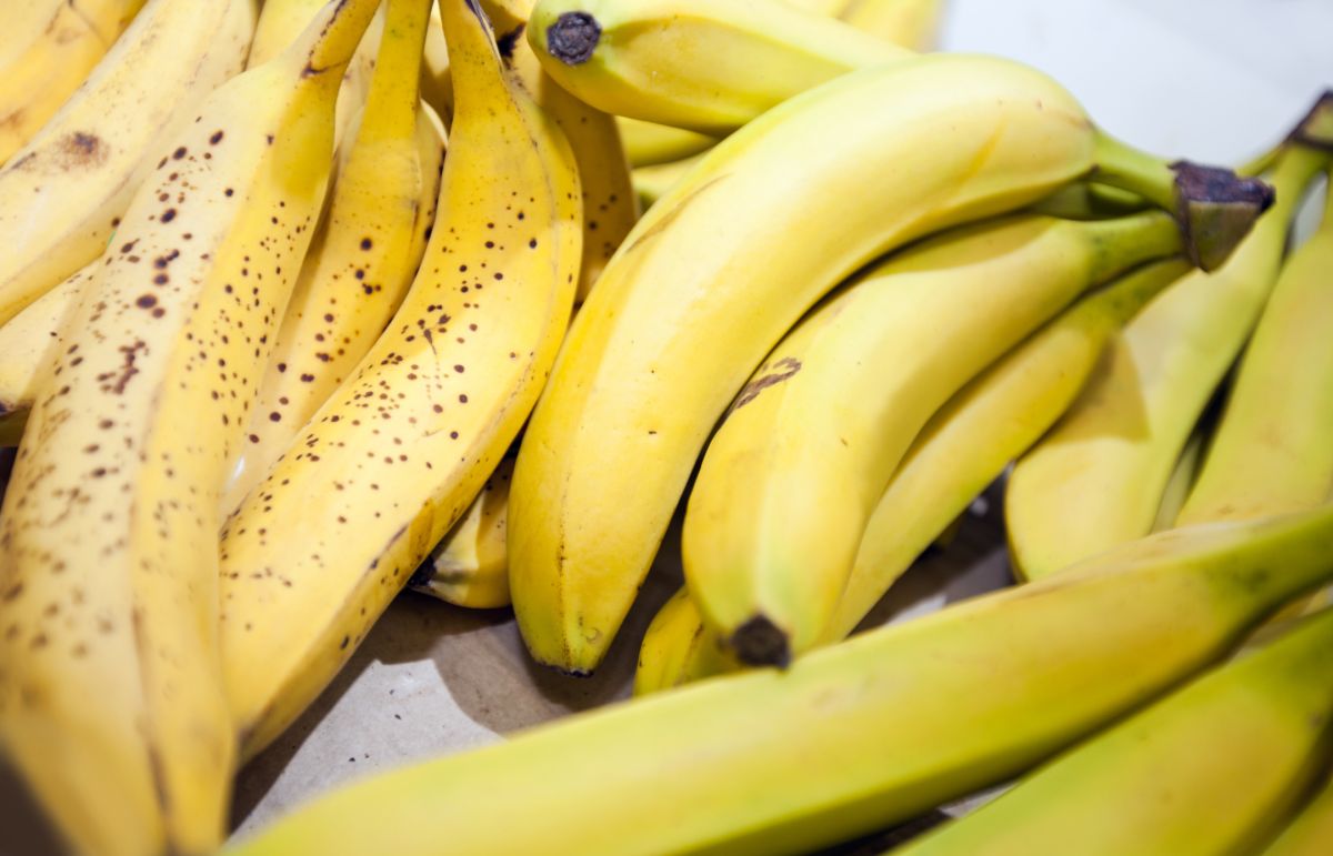 Des astuces incontournables pour garder vos bananes fraîches