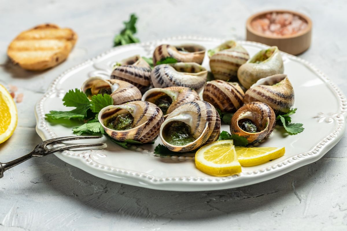 attention aux bocaux d'escargots : un danger sur votre table de réveillon