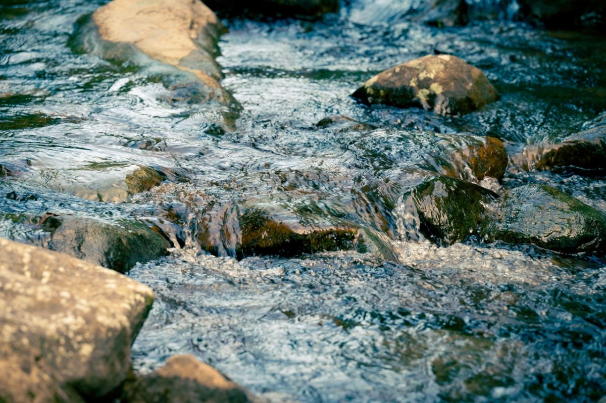 l'eau brute : un piège à éviter pour votre santé, selon les experts