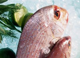 Oméga-3 : un trésor nutritionnel à découvrir